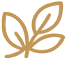 Non-GMO
