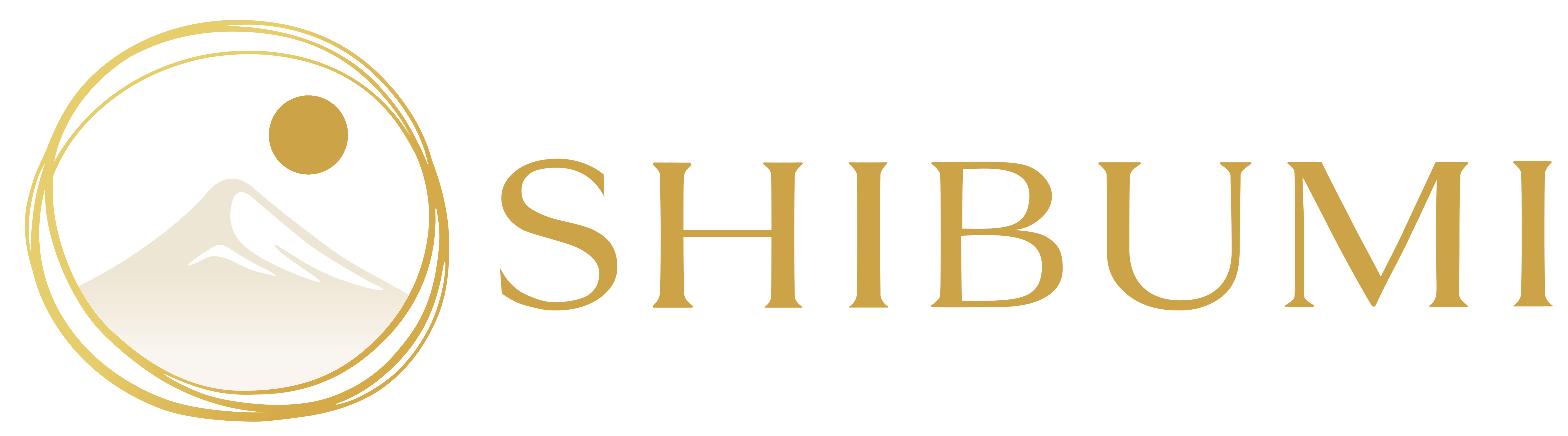 SHIBUMI