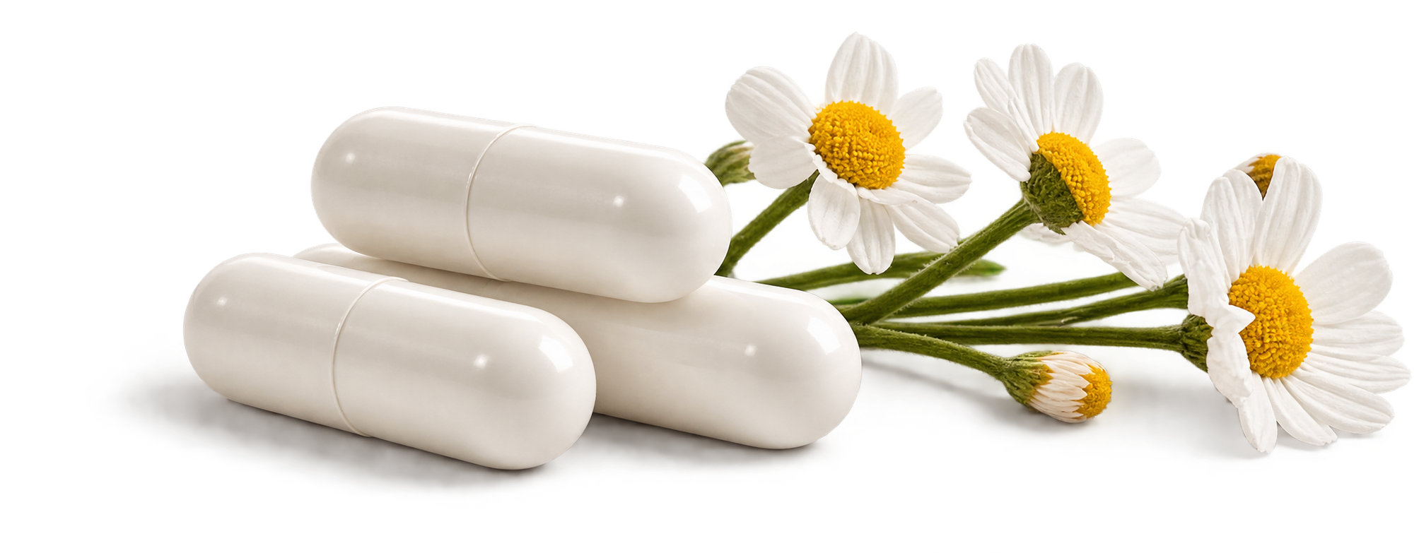 SHIBUMI Rest capsules with chamomile flowers